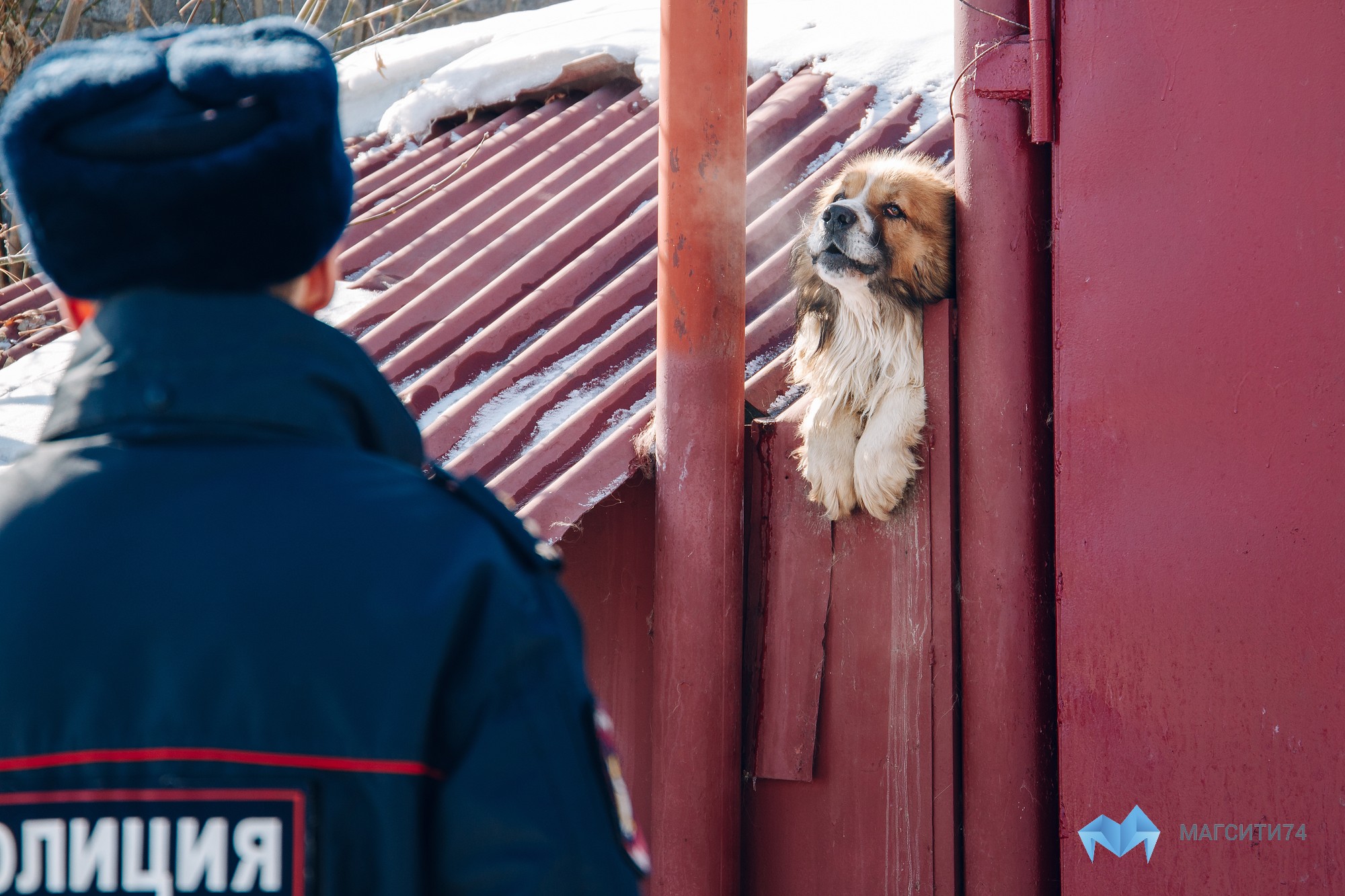 Пожарные побеседуют с жителями частных домов - Новости Магнитогорска -  Магсити74