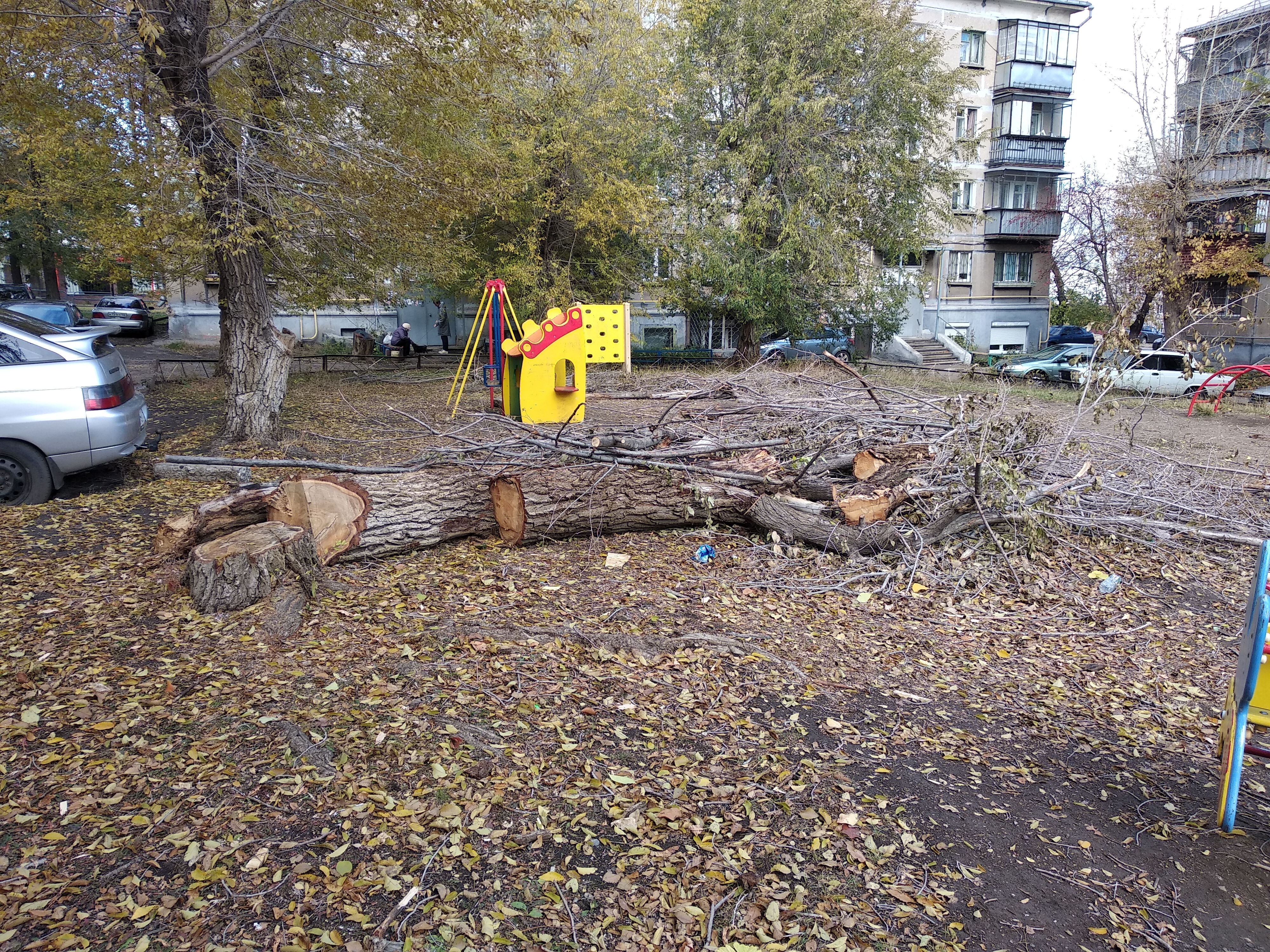 После ураганного ветра Магнитогорск до сих пор завален деревьями - Новости  Магнитогорска - Магсити74