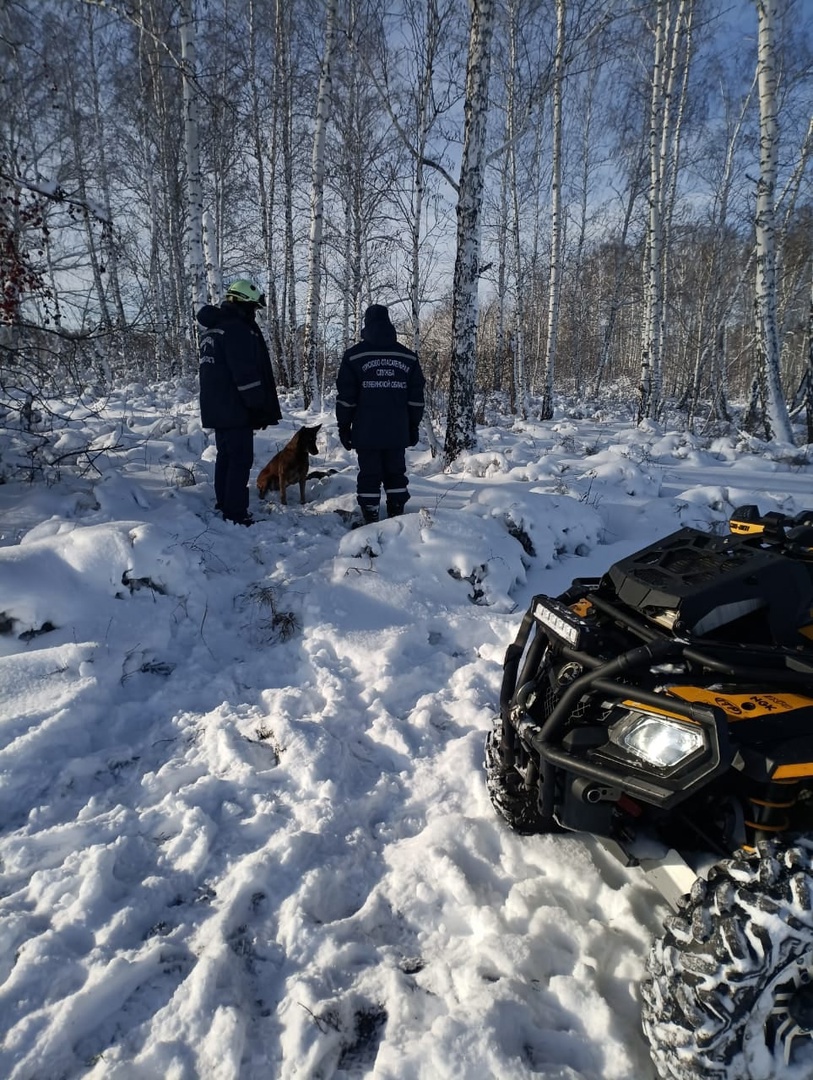 Шёл пешком из села в Челябинск. Южноуралец замёрз насмерть - Новости  Магнитогорска - Магсити74