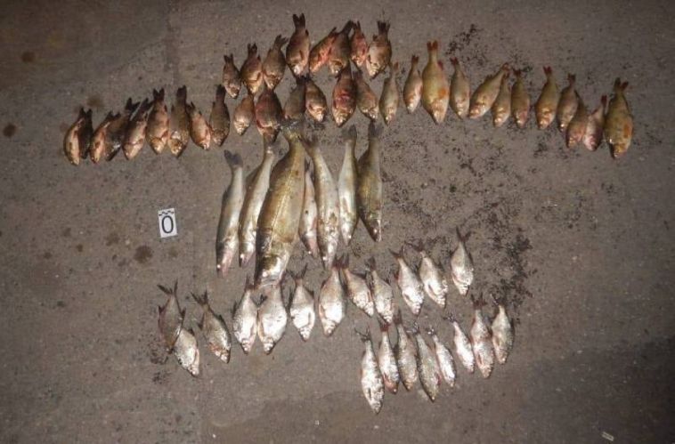 В Магнитогорске поймали ещё одного любителя незаконной рыбалки